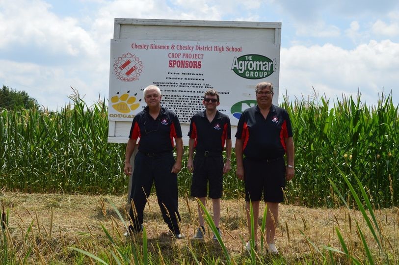 Men standing near corn field